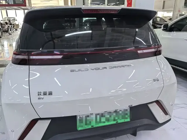 2024 BYD Seagull 305km