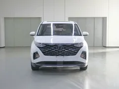 2021 Hyundai Custo 380TGDi Premium LUX Premium, белый — фото 2