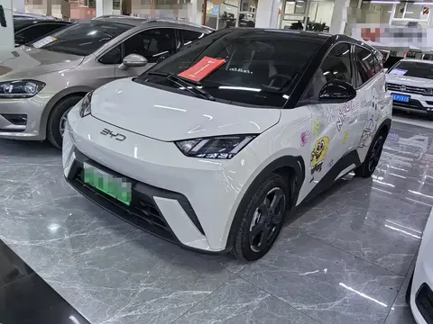 2024 BYD Seagull 305km