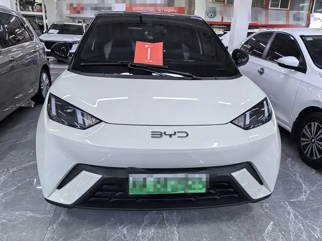 2024 BYD Seagull 305km