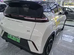 2024 BYD Seagull 305km — фото 6