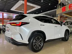 2023 Lexus NX 350h, белый — фото 4