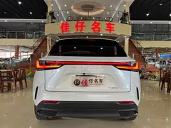 2023 Lexus NX 350h, белый — фото 5