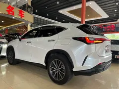2023 Lexus NX 350h, белый — фото 6