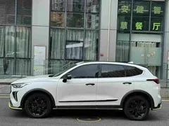 2021 Haval Chitu 1.5T, белый — фото 2