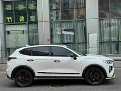 2021 Haval Chitu 1.5T, белый — фото 4