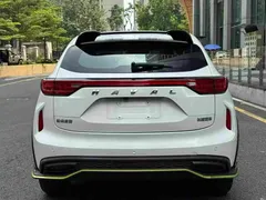 2021 Haval Chitu 1.5T, белый — фото 5