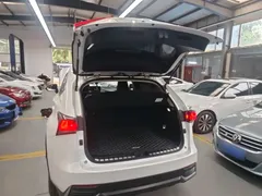 2020 Lexus NX 200 VI, белый — фото 19