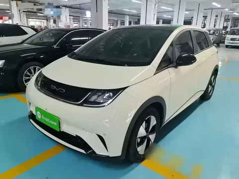 2023 BYD Dolphin 420km Fashion