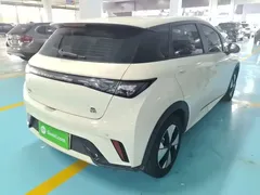 2023 BYD Dolphin 420km Fashion — фото 5