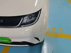 2023 BYD Dolphin 420km Fashion — фото 18