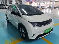 2023 BYD Dolphin 420km Fashion — фото 22