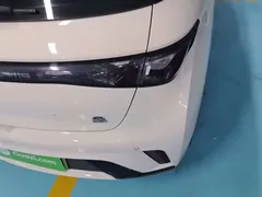 2023 BYD Dolphin 420km Fashion — фото 24