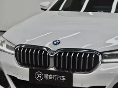 2021 BMW 5 Series 5 530Li M, белый — фото 33