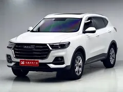 2021 Haval H6 1.5GDIT AT Guochao Champion, белый — фото 1