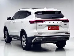 2021 Haval H6 1.5GDIT AT Guochao Champion, белый — фото 4