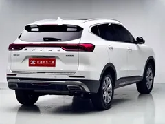 2021 Haval H6 1.5GDIT AT Guochao Champion, белый — фото 5