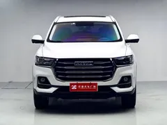2021 Haval H6 1.5GDIT AT Guochao Champion, белый — фото 6