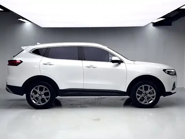 2021 Haval H6 1.5GDIT AT Guochao Champion