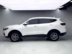 2021 Haval H6 1.5GDIT AT Guochao Champion, белый — фото 9