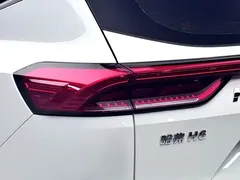 2021 Haval H6 1.5GDIT AT Guochao Champion, белый — фото 20