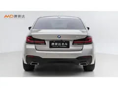 2021 BMW 5 Series 530Li — фото 4