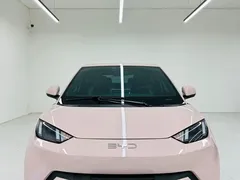 2025 BYD Seagull EV 405km Flying — фото 2