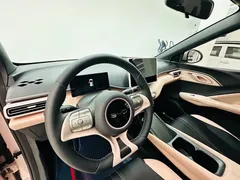 2025 BYD Seagull EV 405km Flying — фото 13