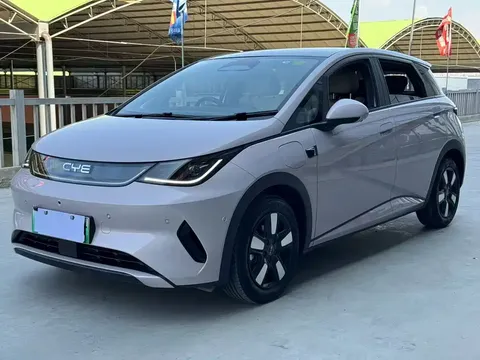 2025 BYD Dolphin Smart Driving 410km Fashion