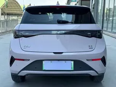 2025 BYD Dolphin Smart Driving 410km Fashion — фото 5