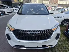 2021 Haval M6 Plus 1.5T DCT Elite, белый — фото 3