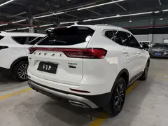 2023 Haval H6 1.5T AT, белый — фото 11