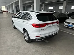 2021 Haval M6 PLUS 1.5T DCT, белый — фото 16