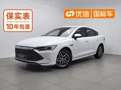 2023 BYD Qin PLUS Champion DM-i PHEV 120KM, белый — фото 1