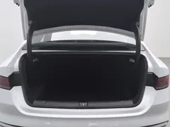 2023 BYD Qin PLUS Champion DM-i PHEV 120KM, белый — фото 16