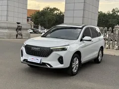 2021 Haval M6 Plus 1.5T DCT Luxury, белый — фото 1