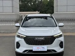 2021 Haval M6 Plus 1.5T DCT Luxury, белый — фото 2