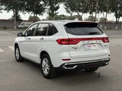 2021 Haval M6 Plus 1.5T DCT Luxury, белый — фото 4