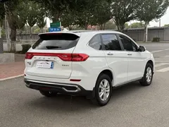 2021 Haval M6 Plus 1.5T DCT Luxury, белый — фото 6