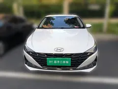 2021 Hyundai Elantra 1.5L CVT LUX Premium, белый — фото 23
