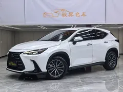 2023 Lexus NX 350h, белый — фото 1