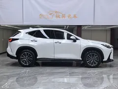 2023 Lexus NX 350h, белый — фото 8