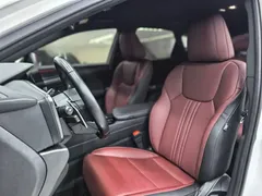 2023 Lexus NX 350h, белый — фото 29