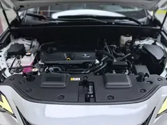 2023 Lexus NX 350h, белый — фото 37