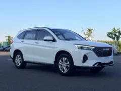 2021 Haval M6 Plus 1.5T DCT Luxury, белый — фото 3