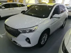 2021 Haval M6 PLUS 1.5T DCT, белый — фото 1