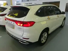 2021 Haval M6 PLUS 1.5T DCT, белый — фото 7