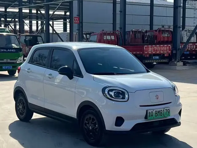 2025 Leapmotor T03 310