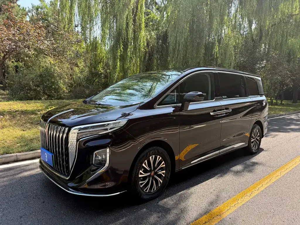 2024 Hongqi HQ9 2.0T 4WD