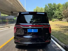 2024 Hongqi HQ9 2.0T 4WD — фото 11